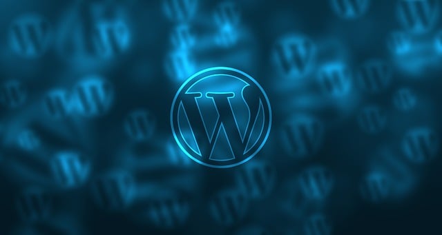 5 Things to Look for in a WordPress Hosting Provider