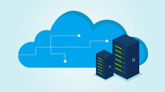 Hosting Basics