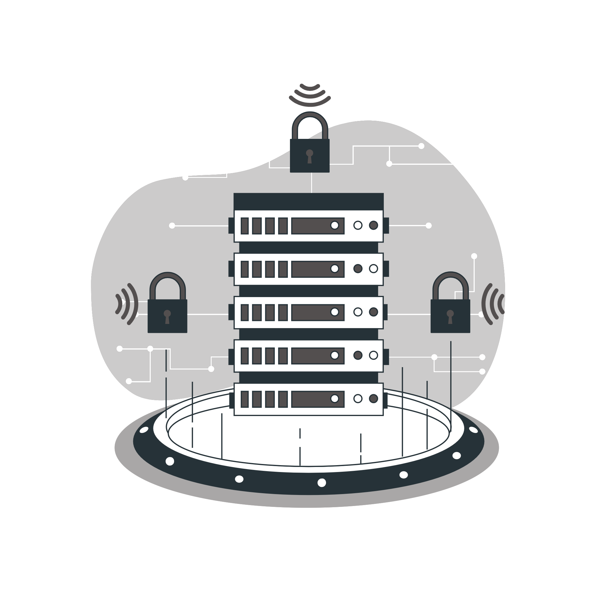 Secure hosting with firewall and malware & data protection protection